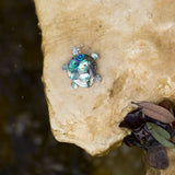 Paua Shell Turtle Pin/Pendant