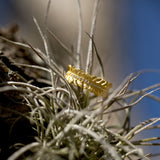 14 Karat Gold Plated CZ Feather Band